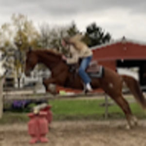 Meet your Posher, Riley